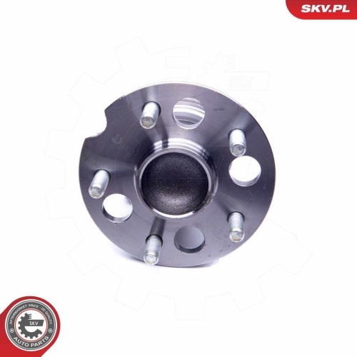 ESEN SKV Radlagersatz 29SKV243
