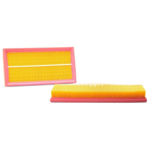 FLEETGUARD Luftfilter AF4919