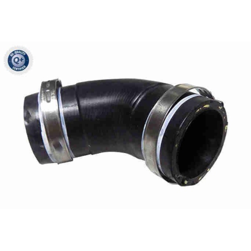 VAICO K&uuml;hlerschlauch Q+, Erstausr&uuml;sterqualit&auml;t V24-1282