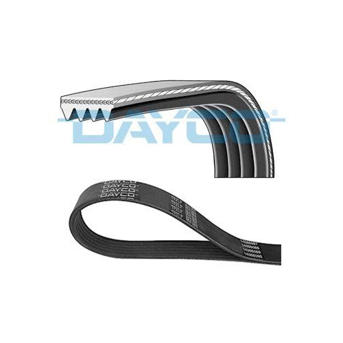 DAYCO Keilrippenriemen 4PK725