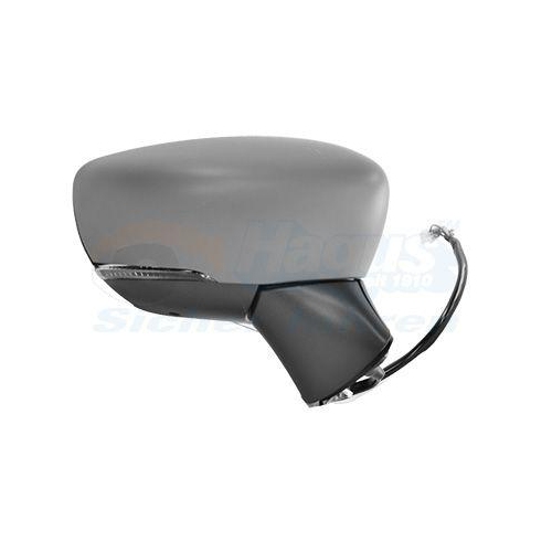 VAN WEZEL Au&szlig;enspiegel * HAGUS * 3336828