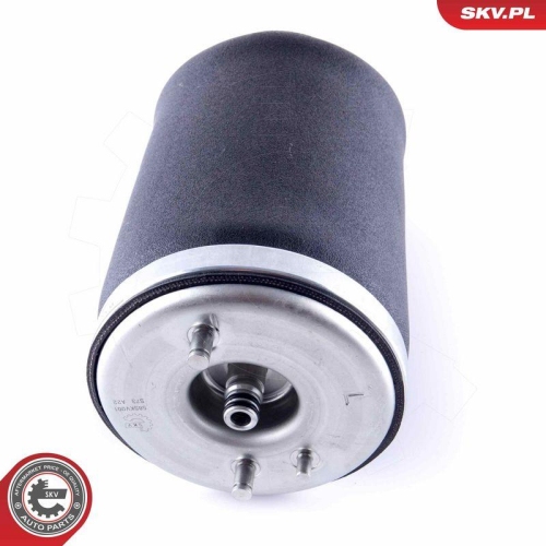 ESEN SKV Luftfeder, Fahrwerk 58SKV001