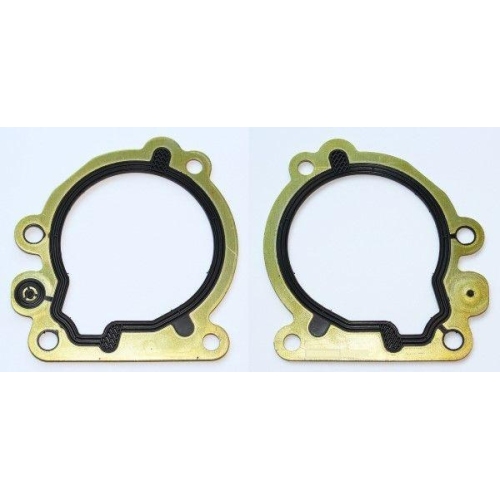 ELRING Dichtung, Kraftstoffpumpe 246.460