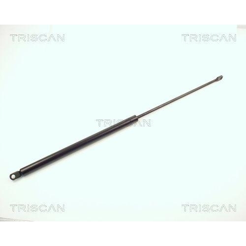 TRISCAN Gasfeder, Koffer-/Laderaum 8710 3801