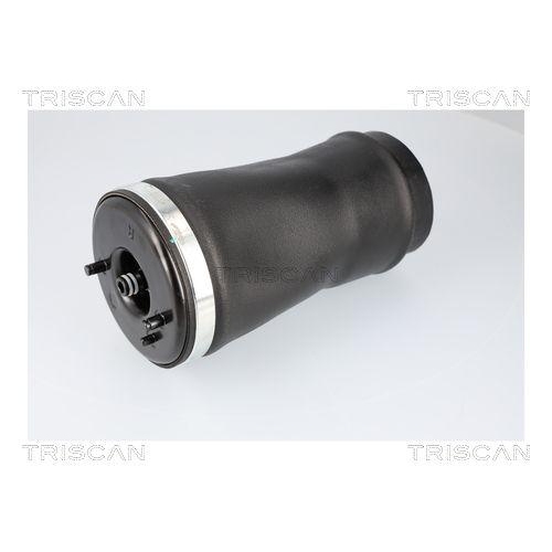 TRISCAN Luftfeder, Fahrwerk 8720 11204