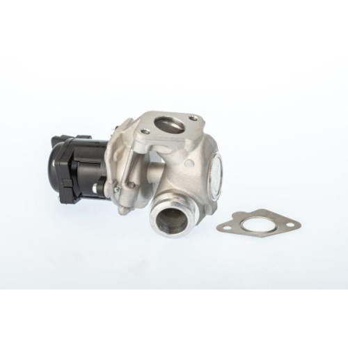 BorgWarner AGR-Ventil 711021D