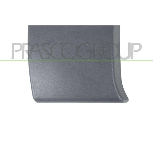 PRASCO Zier-/Schutzleiste, T&uuml;r DS9521415