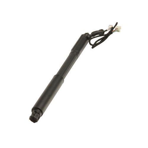 MAXGEAR Gasfeder, Einlegeboden (Koffer-/Laderaum) 12-2544