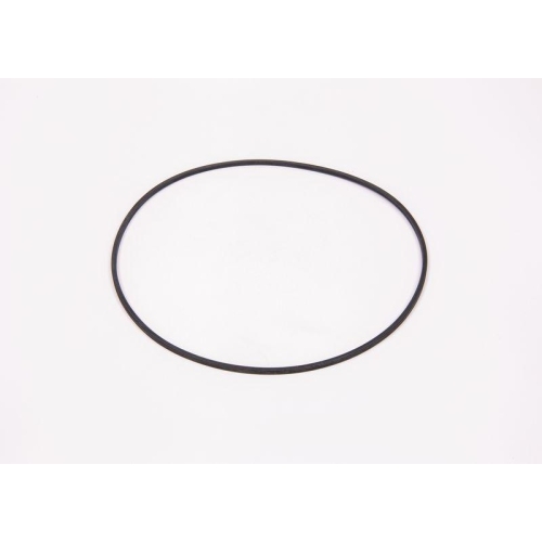 BOSCH Dichtung 2410206005