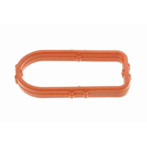 VEMO Dichtung, Ölkühler Original VEMO Qualität V15-60-96065