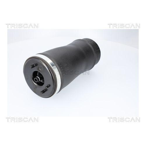 TRISCAN Luftfeder, Fahrwerk 8720 11205