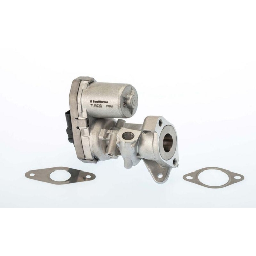 BorgWarner AGR-Ventil 711022D