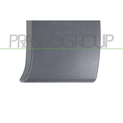 PRASCO Zier-/Schutzleiste, T&uuml;r DS9521416