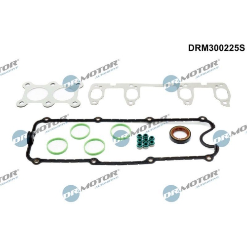 Dr.Motor Automotive Dichtungssatz, Zylinderkopf DRM300225S