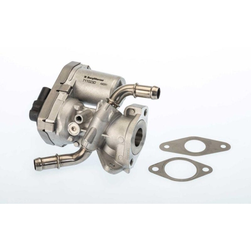 BorgWarner AGR-Ventil 711023D