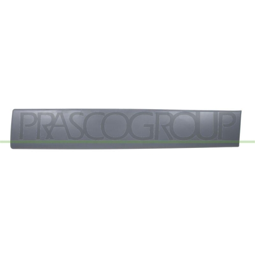 PRASCO Zier-/Schutzleiste, T&uuml;r DS9521454