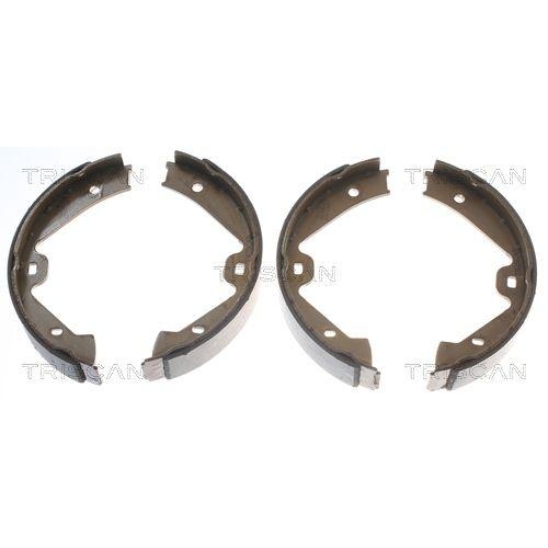 TRISCAN Bremsbackensatz, Feststellbremse 8100 29002