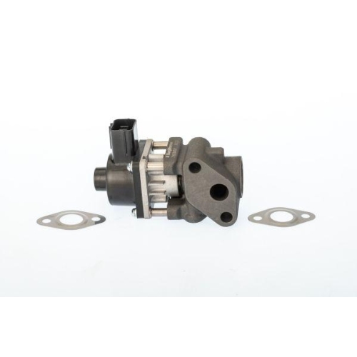 BorgWarner AGR-Ventil 711024D