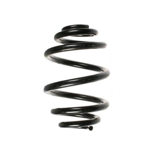 SPIDAN Fahrwerksfeder 55326