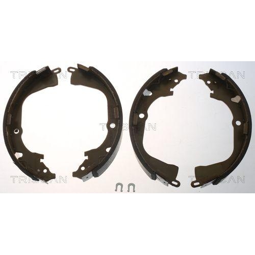 TRISCAN Bremsbackensatz 8100 29003