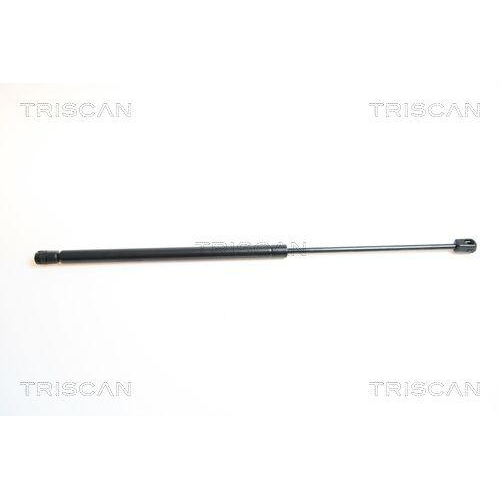 TRISCAN Gasfeder, Koffer-/Laderaum 8710 42224