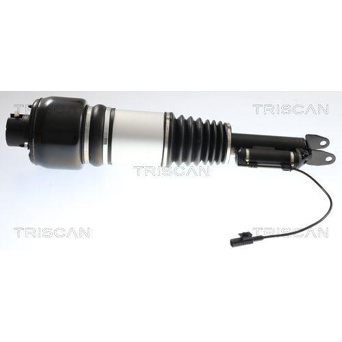 TRISCAN Luftfederbein 8720 23106