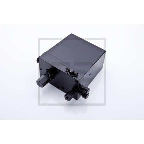 PE Automotive Kipppumpe, Fahrerhaus 023.604-00A