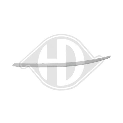 DIEDERICHS Zier-/Schutzleiste, K&uuml;hlergitter 1428001