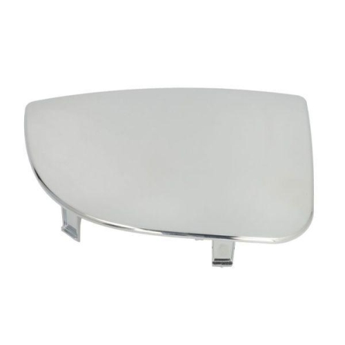 BLIC Spiegelglas, Au&szlig;enspiegel 5402-04-1131116P