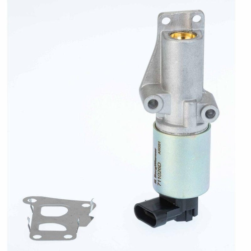 BorgWarner AGR-Ventil 711026D