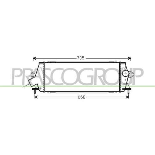PRASCO Ladeluftk&uuml;hler PrascoSelection DS952N001