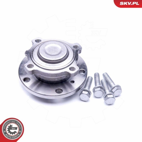 ESEN SKV Radlagersatz 29SKV250