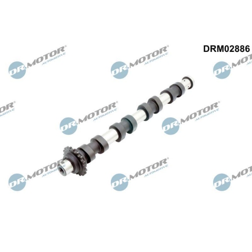 Dr.Motor Automotive Nockenwelle DRM02886