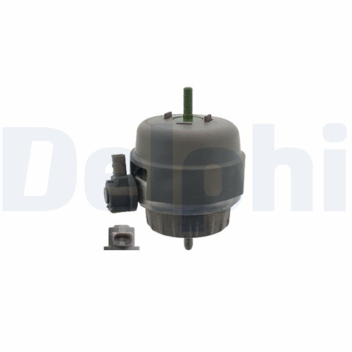 DELPHI Lagerung, Motor TEM277