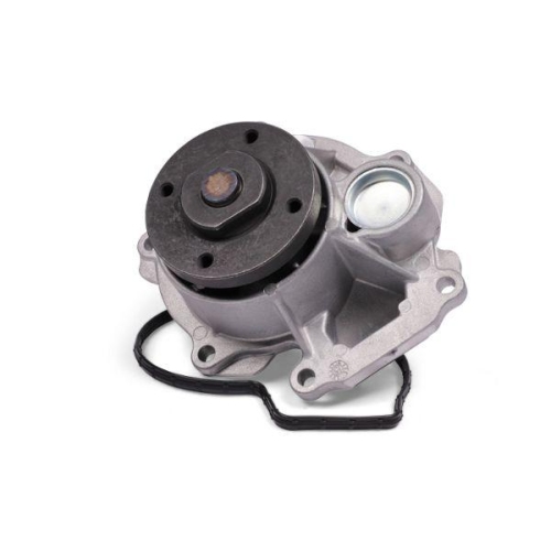 HEPU Wasserpumpe, Motork&uuml;hlung P380