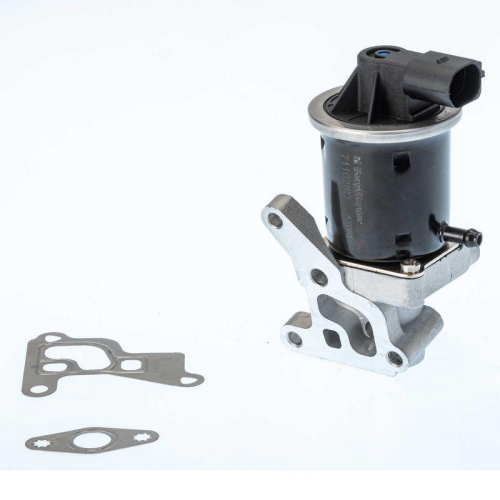 BorgWarner AGR-Ventil 711028D