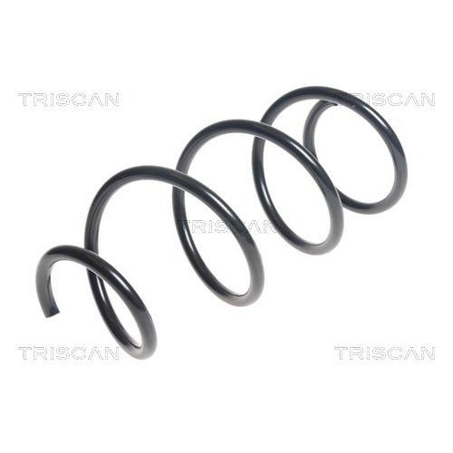 TRISCAN Fahrwerksfeder 8750 6960