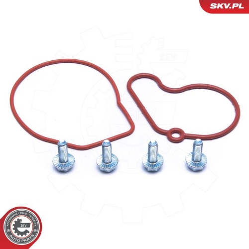 ESEN SKV Reparatursatz, Unterdruckpumpe (Bremsanlage) 18SKV807