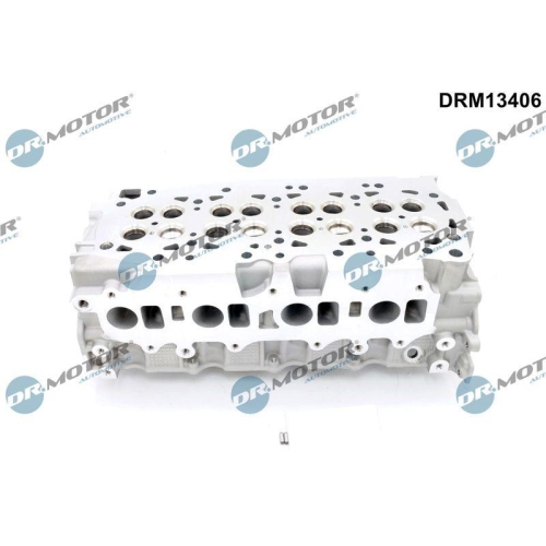 Dr.Motor Automotive Zylinderkopf DRM13406