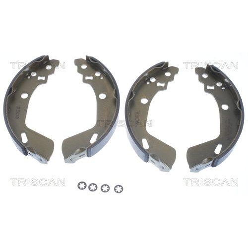 TRISCAN Bremsbackensatz 8100 69009