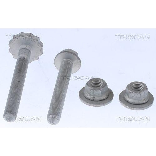 TRISCAN Reparatursatz, Radaufh&auml;ngung 8500 29423