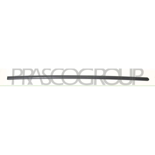 PRASCO Zier-/Schutzleiste, T&uuml;r SK3201413
