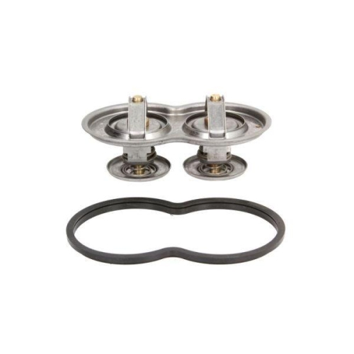 THERMOTEC Thermostat, K&uuml;hlmittel D2SC001TT