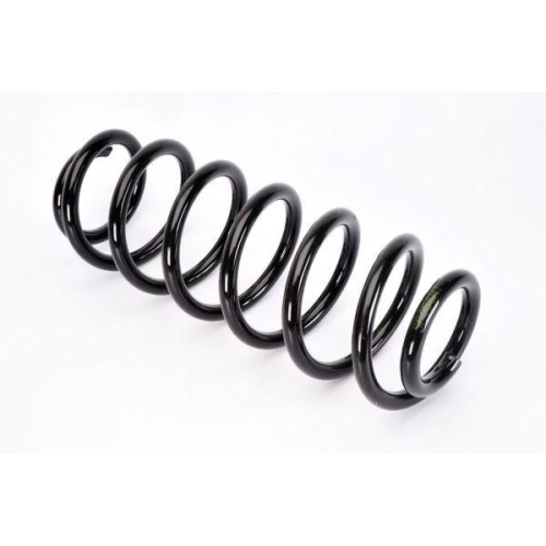 Magnum Technology Fahrwerksfeder SP058MT