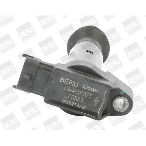 BorgWarner (BERU) Z&uuml;ndspule ZS557