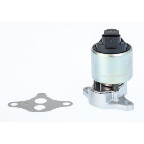 BorgWarner AGR-Ventil 711033D