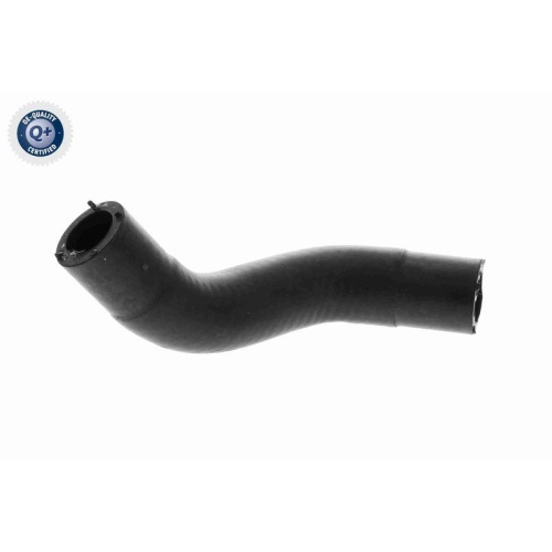 VAICO K&uuml;hlerschlauch Q+, Erstausr&uuml;sterqualit&auml;t V40-1304