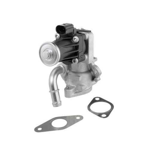 BorgWarner AGR-Ventil 712017D