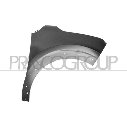PRASCO Kotfl&uuml;gel CI3283013