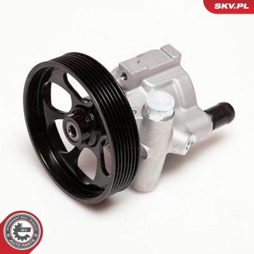 ESEN SKV Hydraulikpumpe, Lenkung 10SKV115